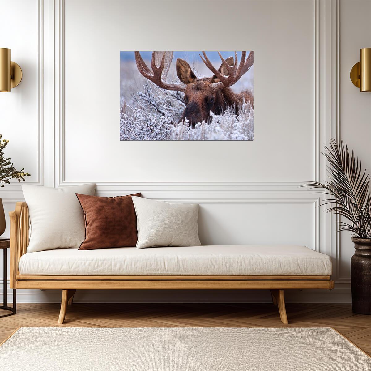 Bull Moose Hiding in Sagebrush | Wildlife Photography Print | Nature Wall Art Poster - Photography Poster