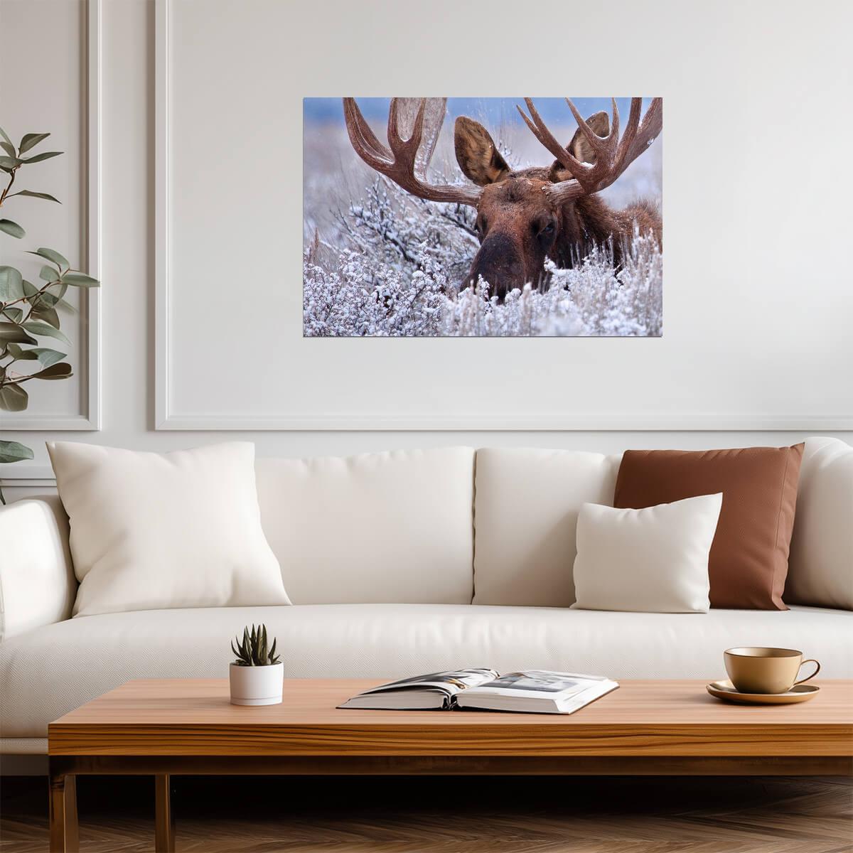 Bull Moose Hiding in Sagebrush | Wildlife Photography Print | Nature Wall Art Poster - Photography Poster