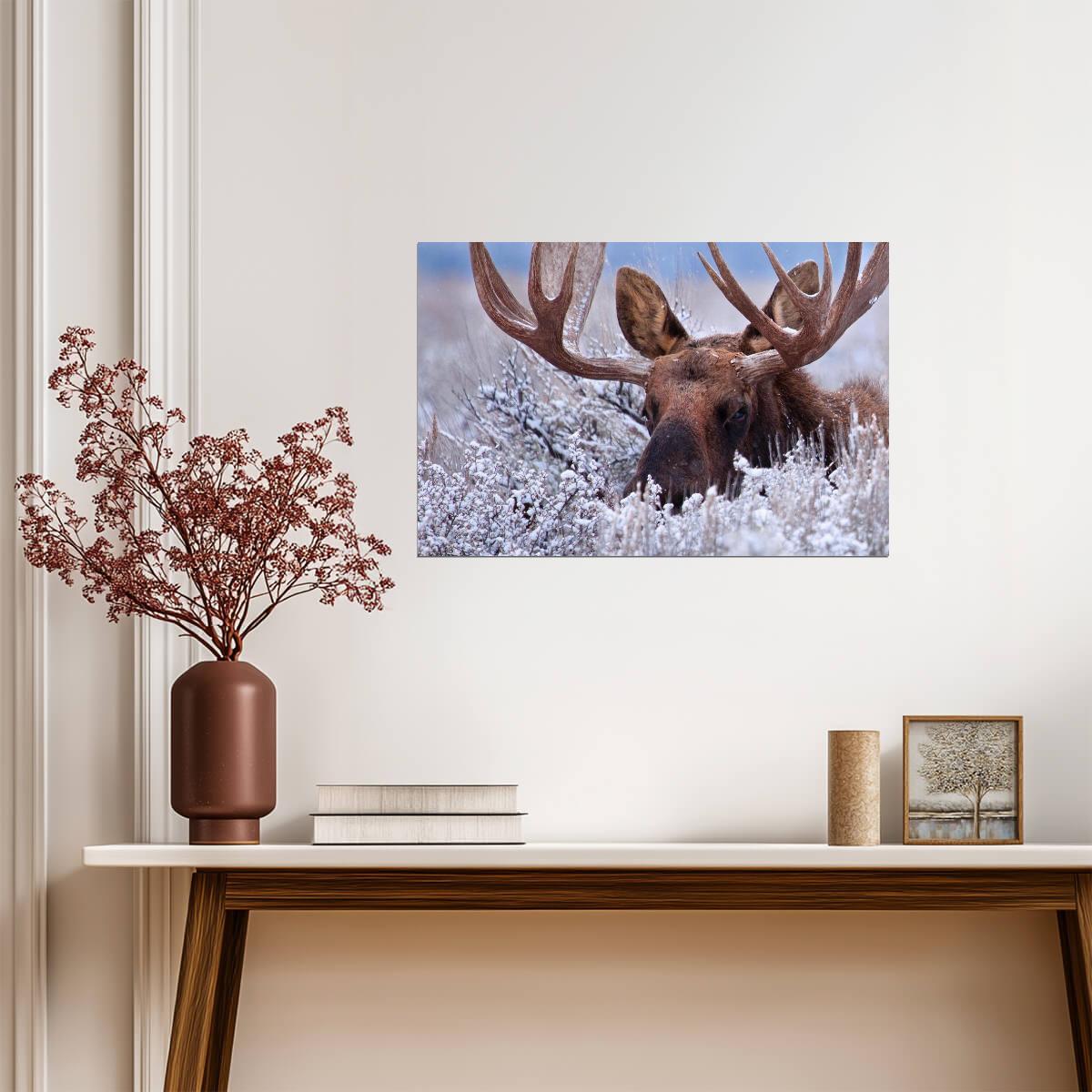 Bull Moose Hiding in Sagebrush | Wildlife Photography Print | Nature Wall Art Poster - Photography Poster