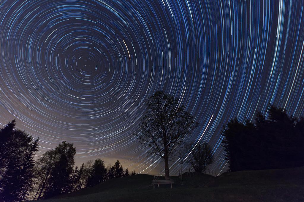 Star Trails Above a Lone Tree | Night Sky Photography | Astrophotography Poster - Photography Poster