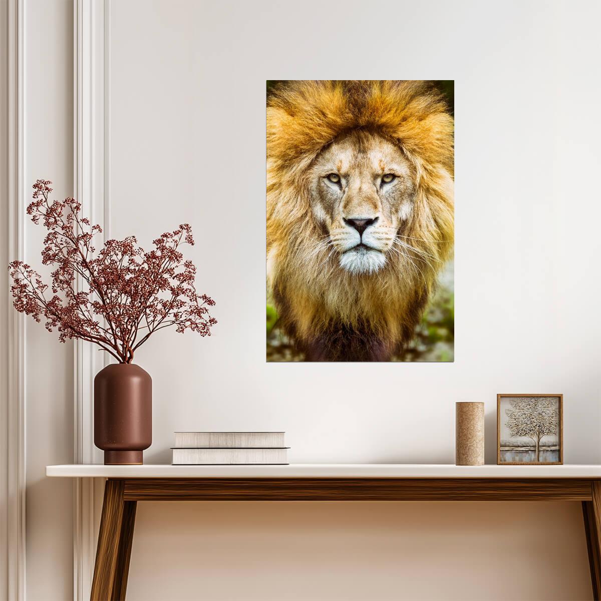 African Lion Headshot Photo | Wildlife Photography | Animal Portrait Poster - Photography Poster