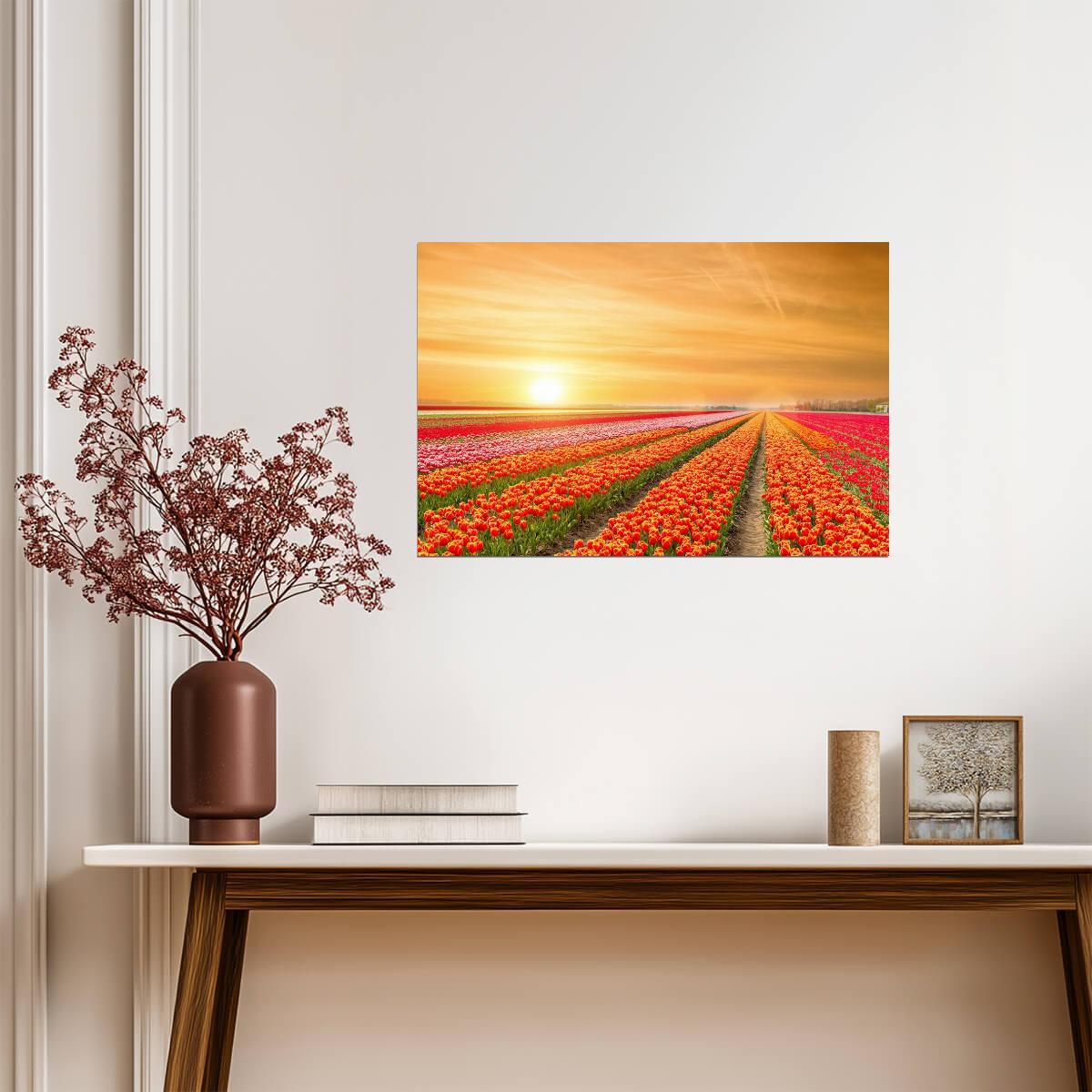 Rows of Tulips in the Netherlands | Springtime Floral Photography | Holland Landscape Poster - Photography Poster