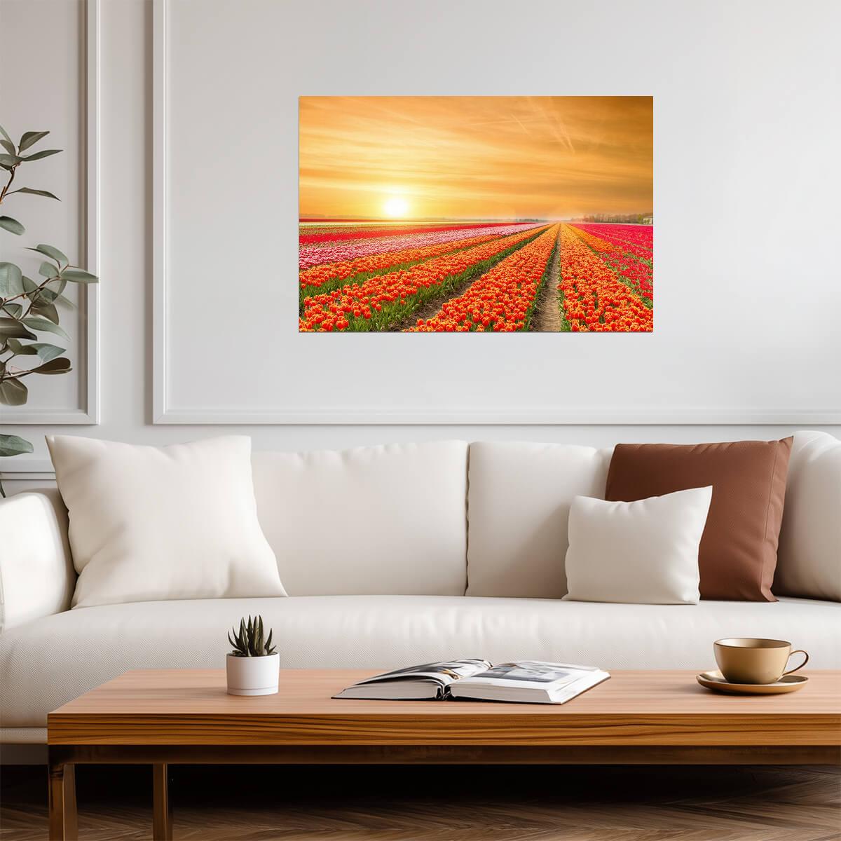 Rows of Tulips in the Netherlands | Springtime Floral Photography | Holland Landscape Poster - Photography Poster