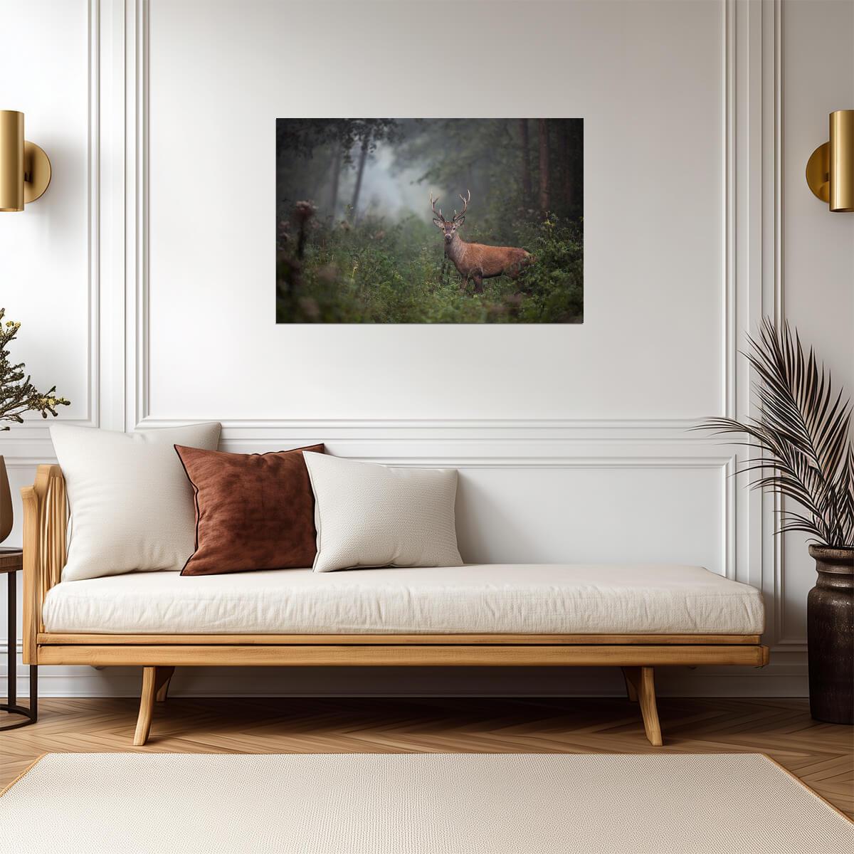 Red Deer Stag in Dense Forest Undergrowth | Foggy Wildlife Photography | Nature Wall Art Poster - Photography Poster
