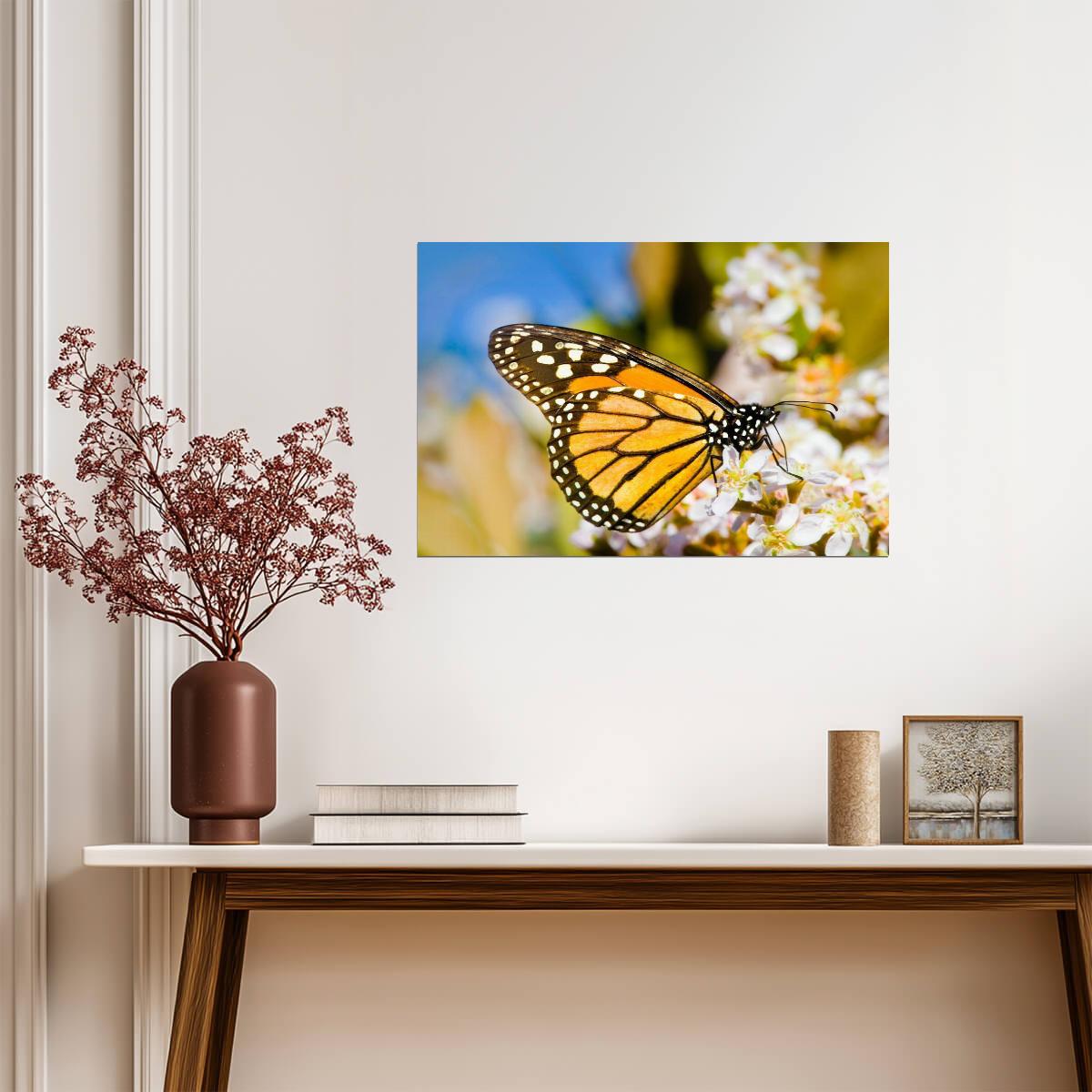 Monarch Butterfly on a Flower | Macro Photography Print | Nature Wall Art Poster - Photography Poster