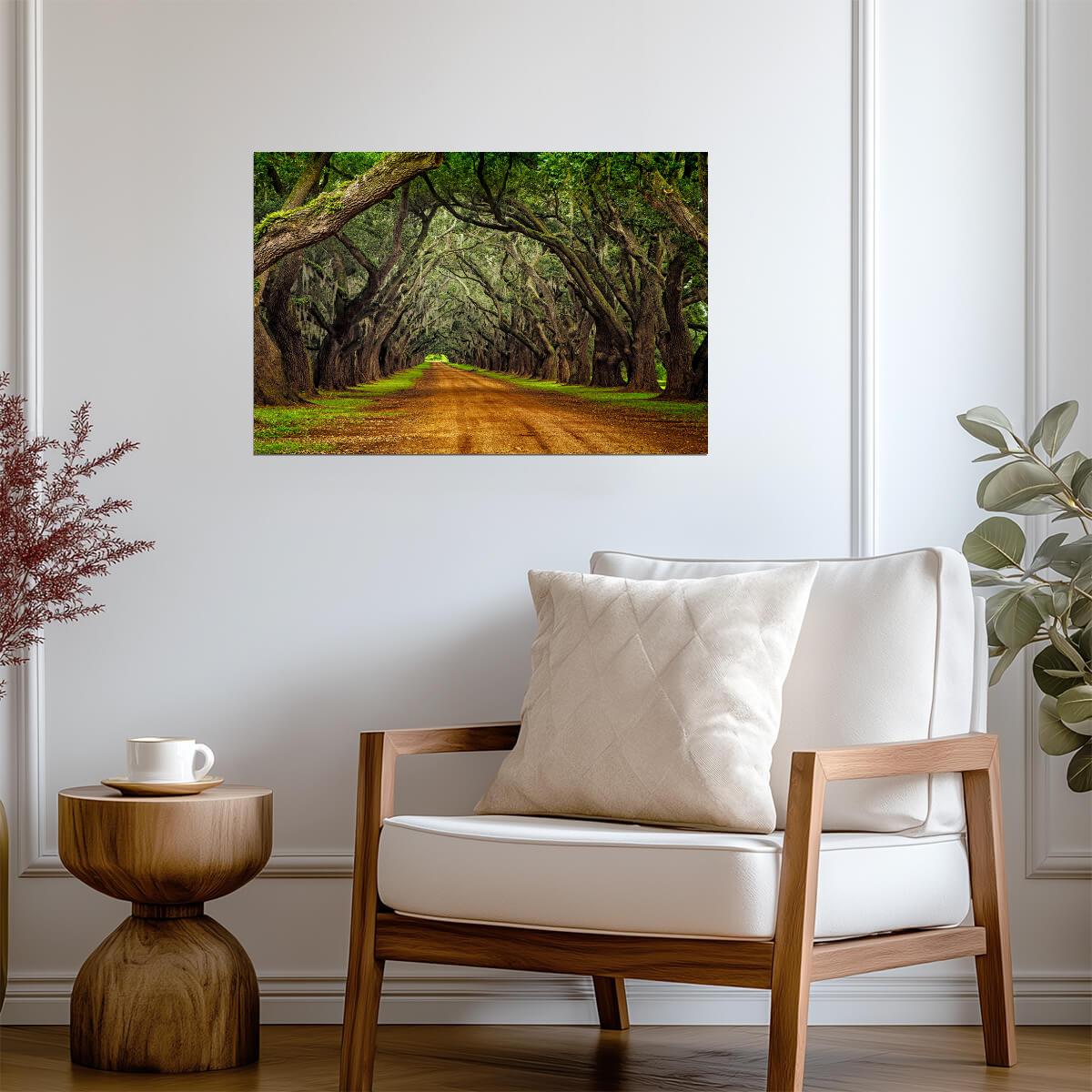 Oak Trees on a Plantation Road | Southern Landscape Photography | Nature Poster - Photography Poster