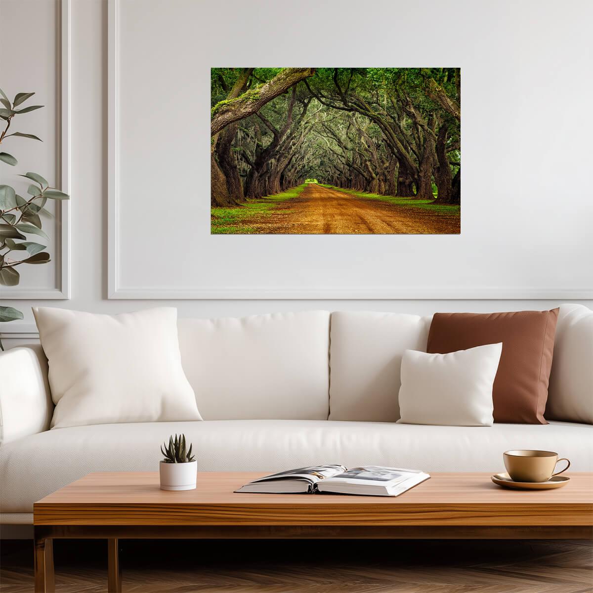 Oak Trees on a Plantation Road | Southern Landscape Photography | Nature Poster - Photography Poster