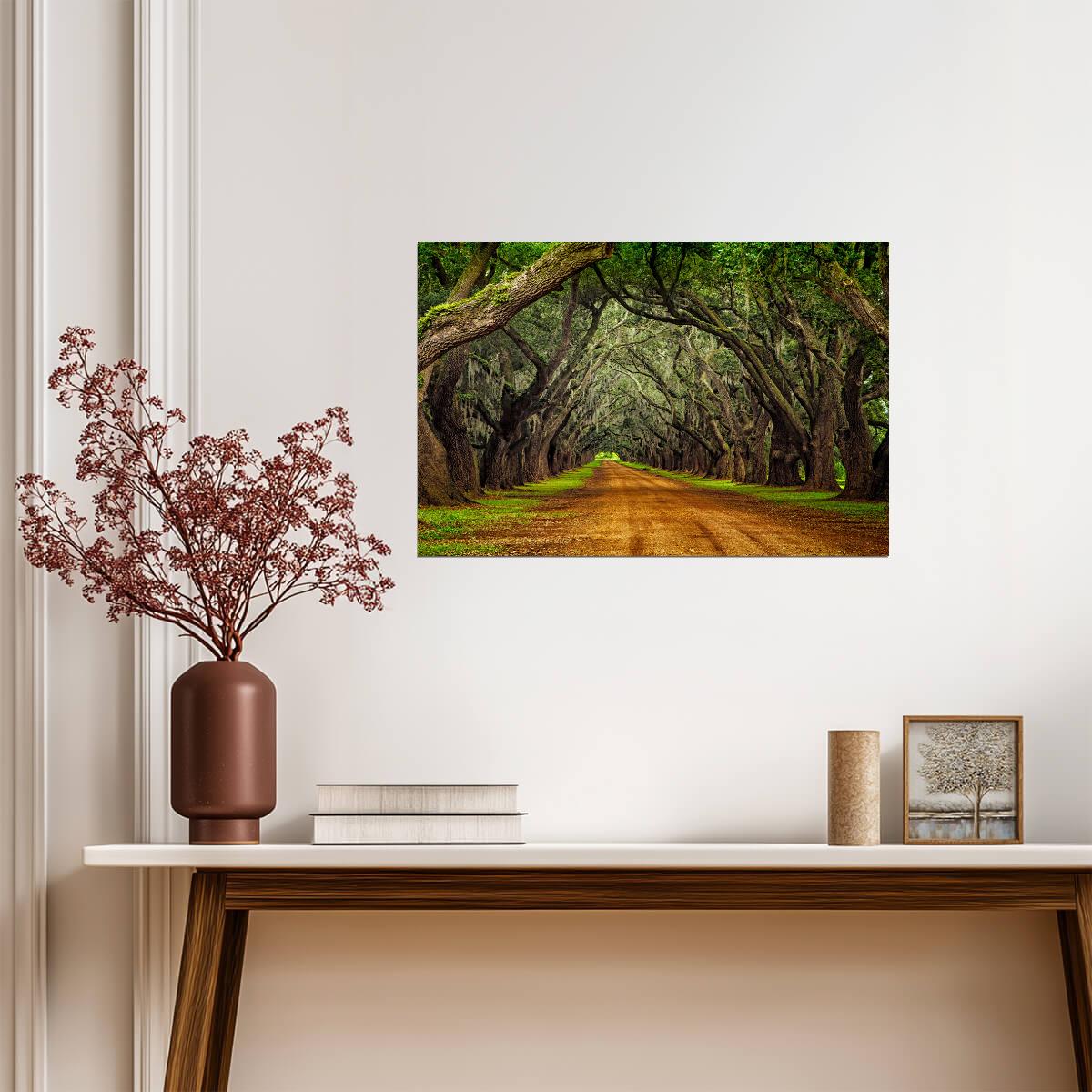 Oak Trees on a Plantation Road | Southern Landscape Photography | Nature Poster - Photography Poster