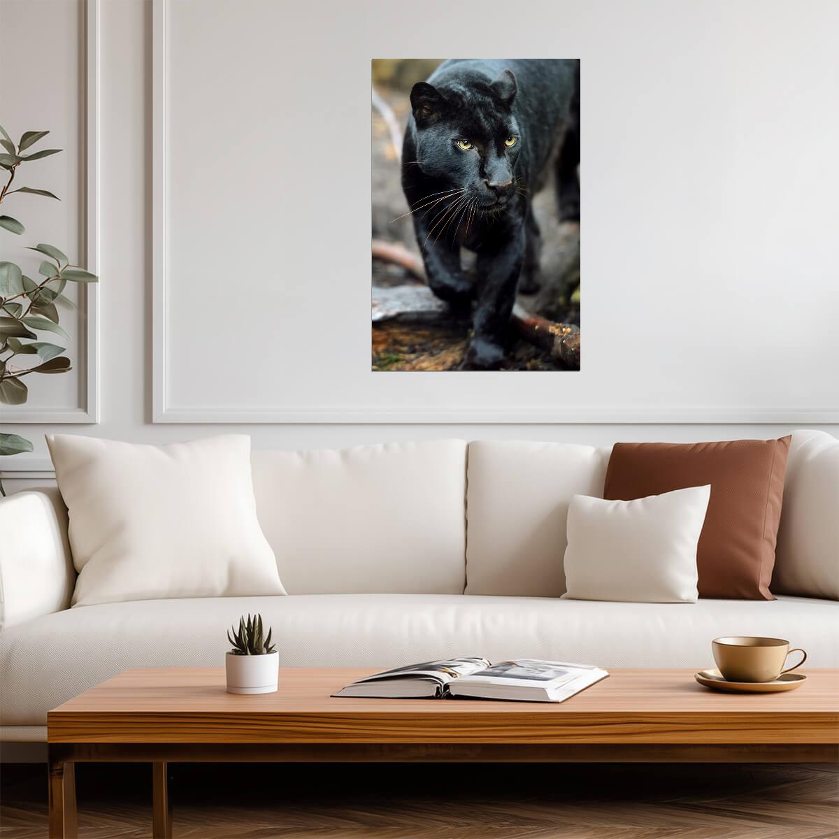 Black Leopard Portrait | Wild Cat Photography | Jungle Animal Poster - Photography Poster