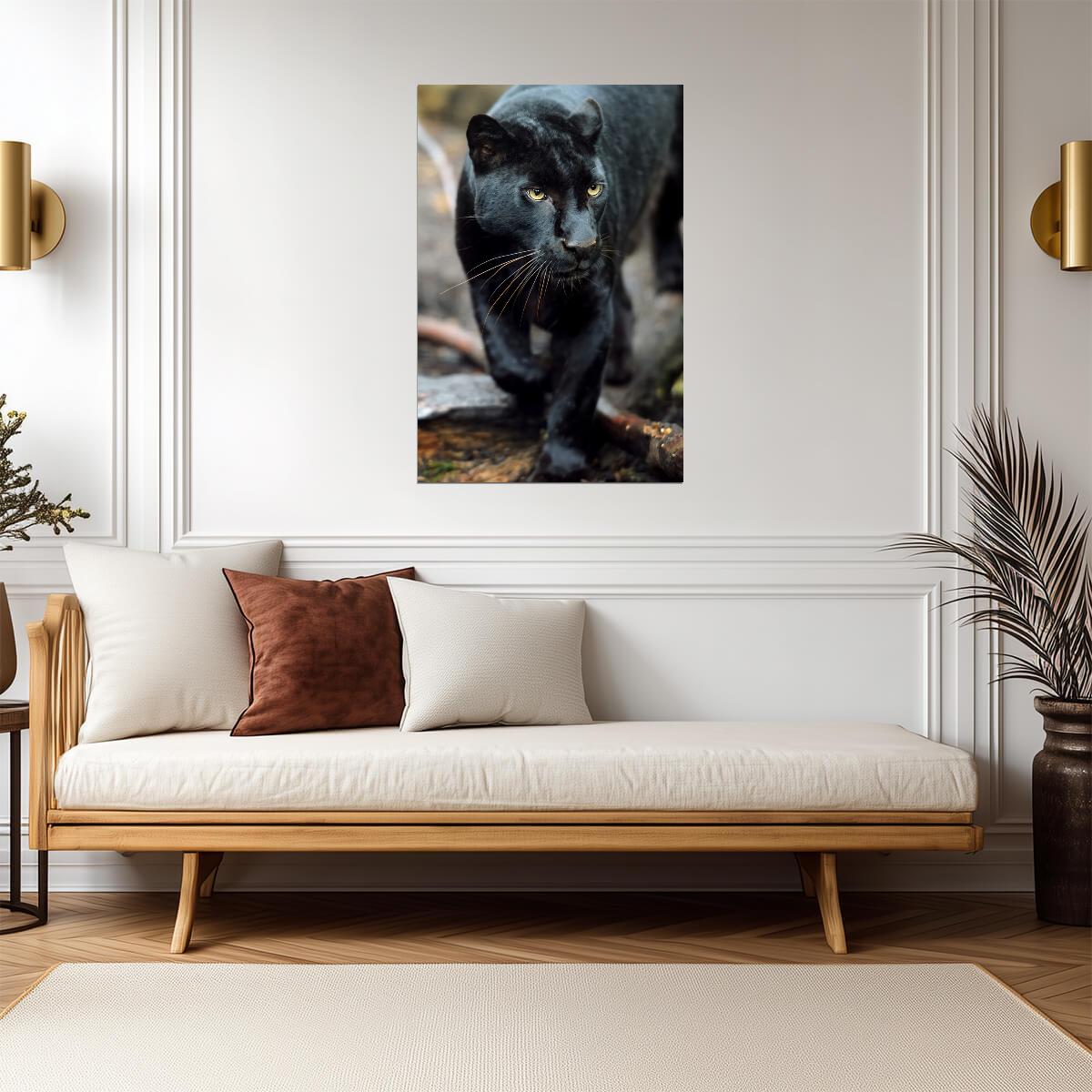 Black Leopard Portrait | Wild Cat Photography | Jungle Animal Poster - Photography Poster