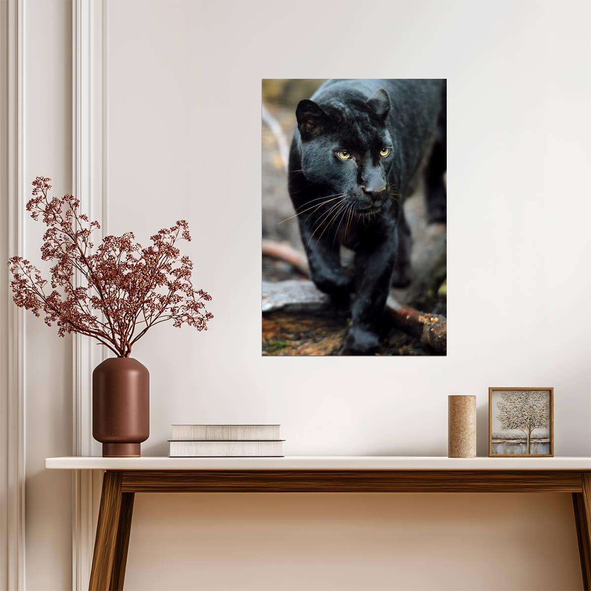 Black Leopard Portrait | Wild Cat Photography | Jungle Animal Poster - Photography Poster