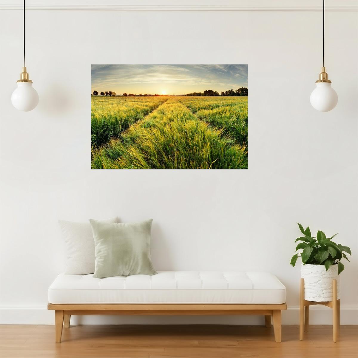 Rural Sunset Farm Poster | Spring Wheat Field Photography | Countryside Wall Art