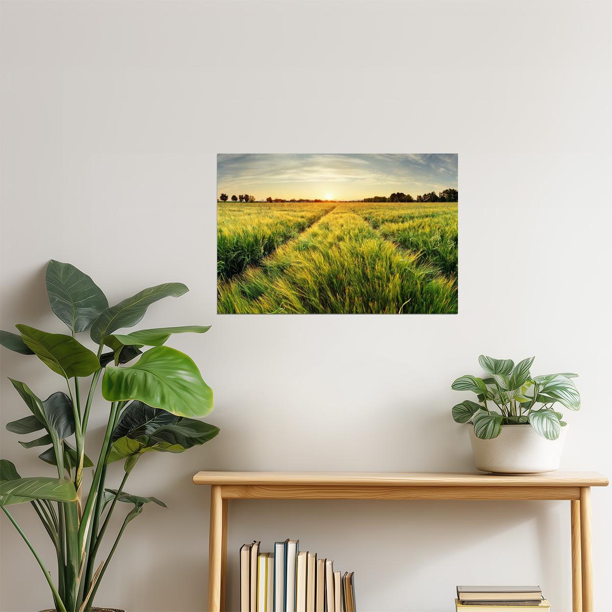 Rural Sunset Farm Poster | Spring Wheat Field Photography | Countryside Wall Art