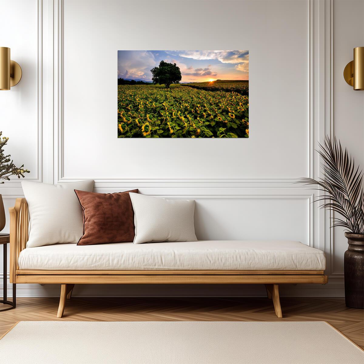 Sunflower Field in Thailand | Nakhon Ratchasima Province Photography | Floral Poster - Photography Poster
