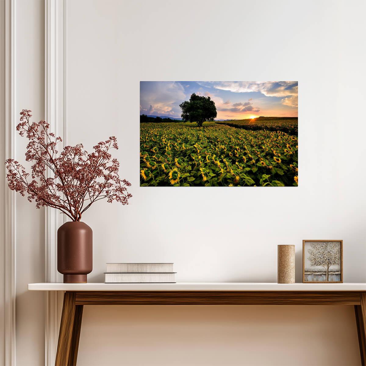 Sunflower Field in Thailand | Nakhon Ratchasima Province Photography | Floral Poster - Photography Poster