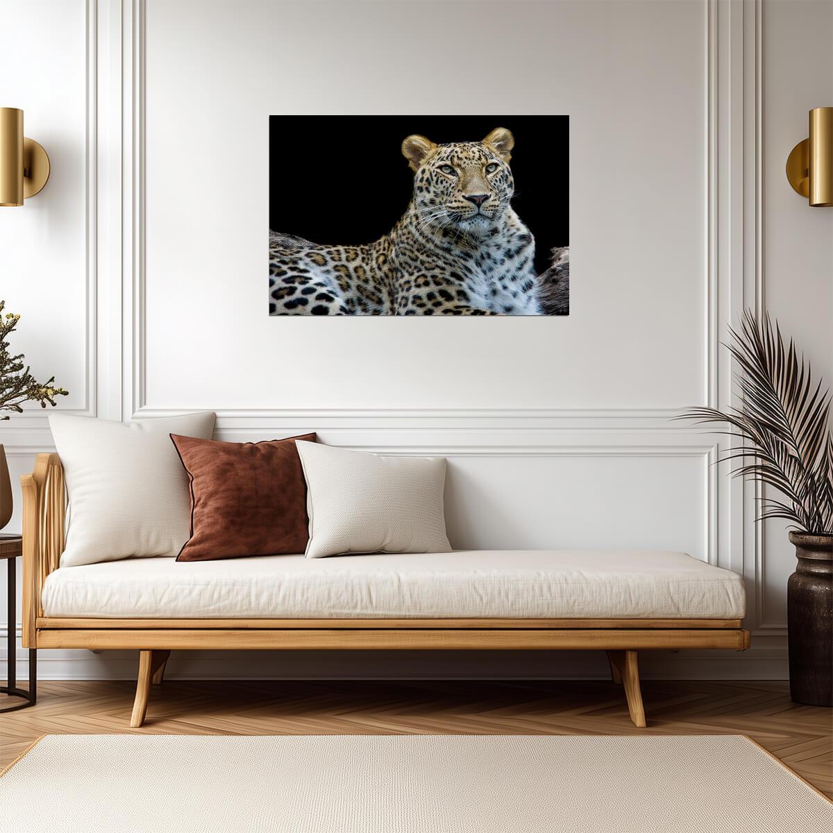 Leopard Face to Face Portrait | Wildlife Photography | Big Cat Poster - Photography Poster