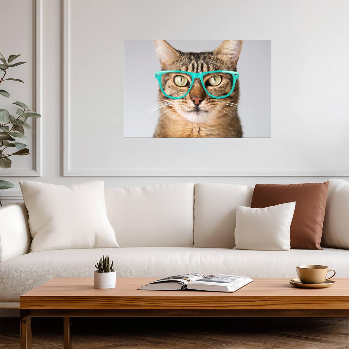 Cute Cat Looking Smart in Blue Glasses | Funny Animal Photography | Humorous Pet Poster - Photography Poster