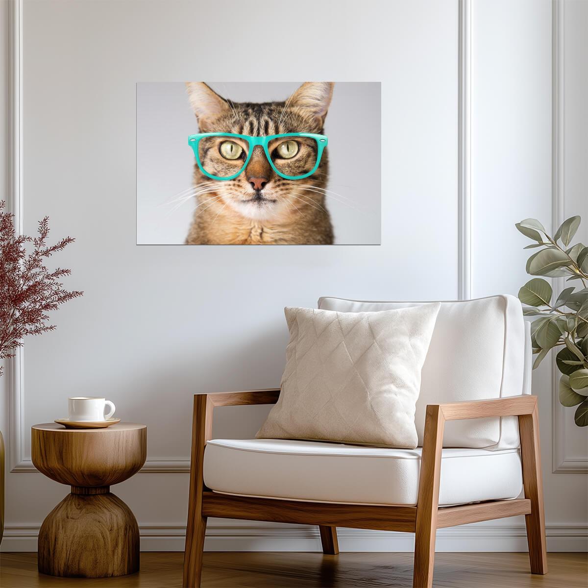 Cute Cat Looking Smart in Blue Glasses | Funny Animal Photography | Humorous Pet Poster - Photography Poster