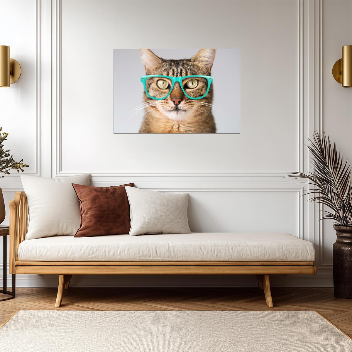 Cute Cat Looking Smart in Blue Glasses | Funny Animal Photography | Humorous Pet Poster - Photography Poster