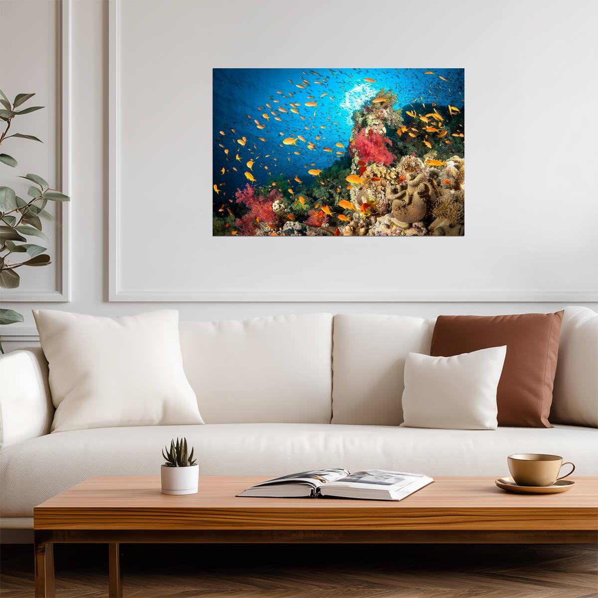 Colorful Coral Reef Scene | Underwater Photography Print | Ocean Life Poster - Photography Poster