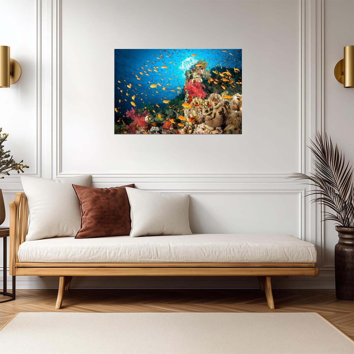 Colorful Coral Reef Scene | Underwater Photography Print | Ocean Life Poster - Photography Poster