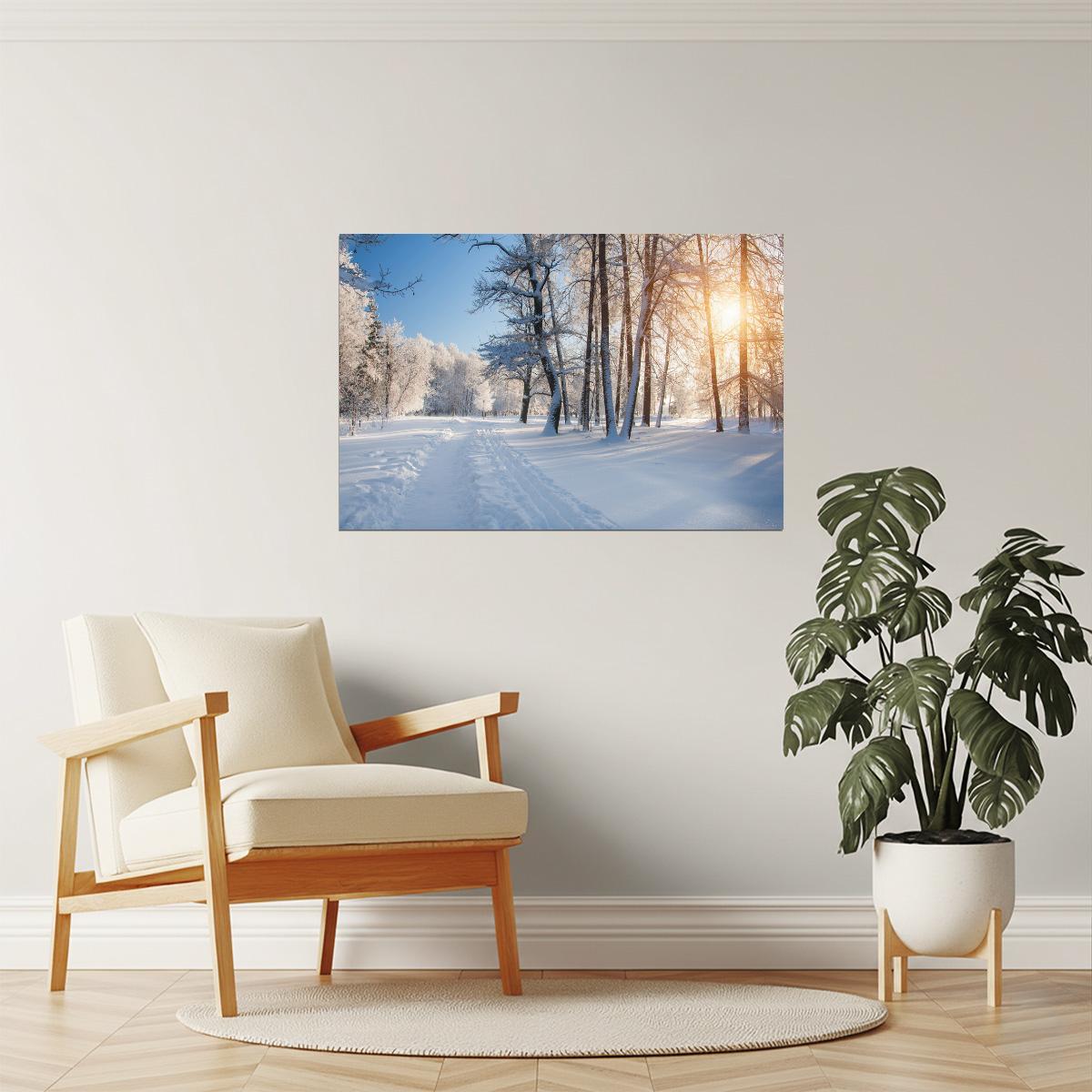 Winter Park Forest Sunrise Poster | Snowy Trees Photography | Nature Wall Art