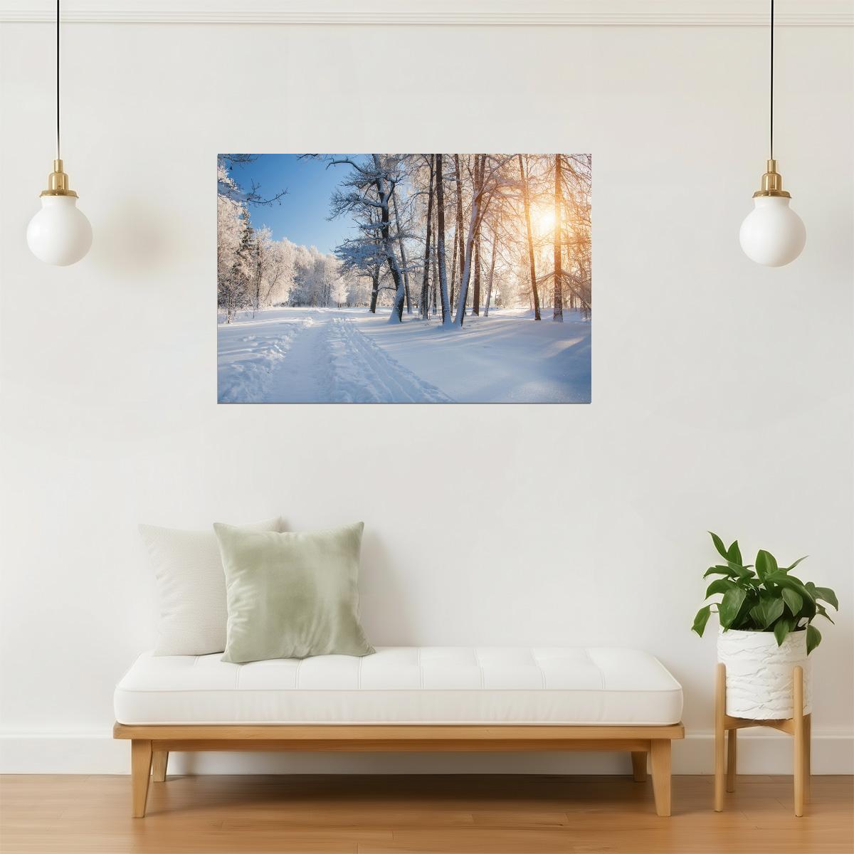 Winter Park Forest Sunrise Poster | Snowy Trees Photography | Nature Wall Art