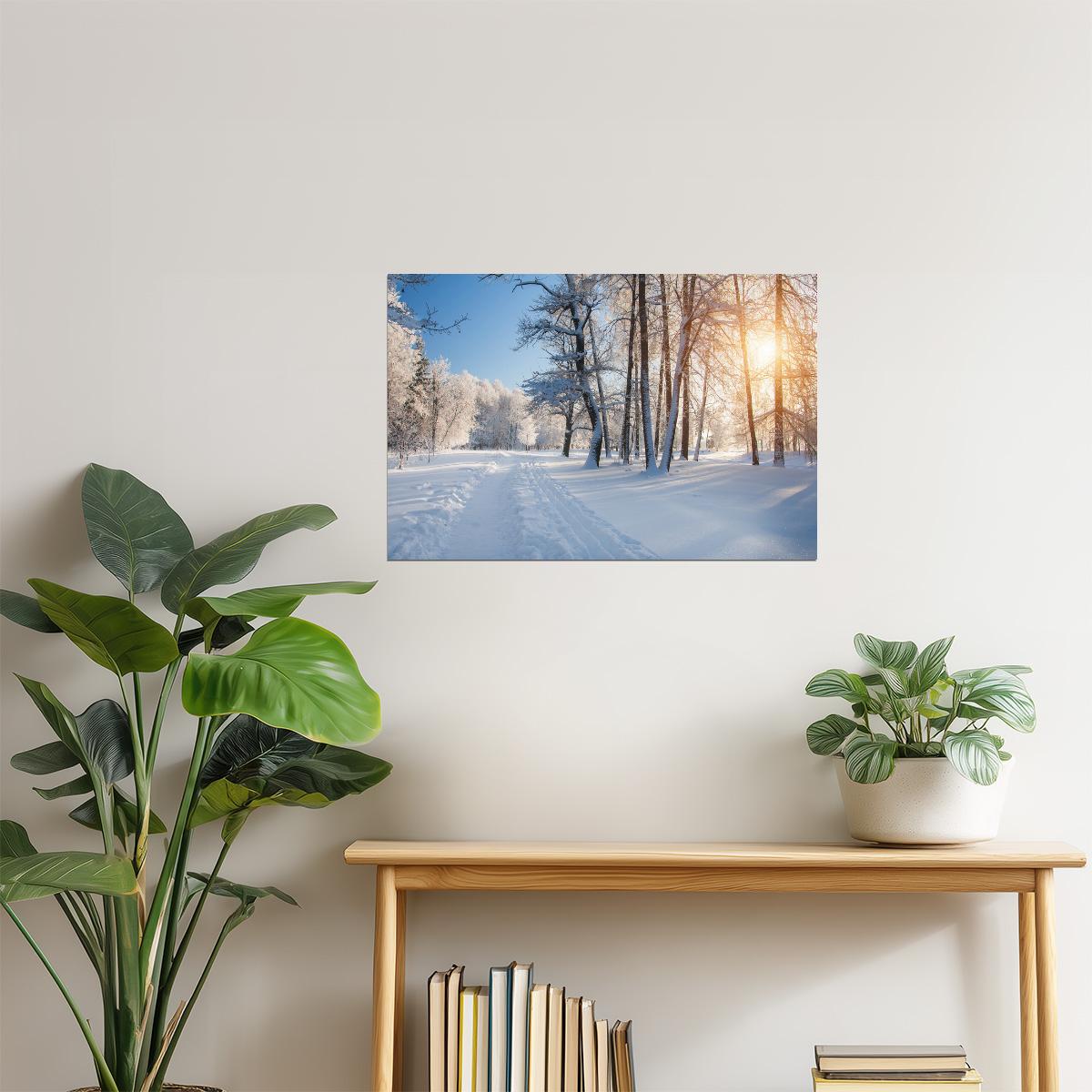 Winter Park Forest Sunrise Poster | Snowy Trees Photography | Nature Wall Art