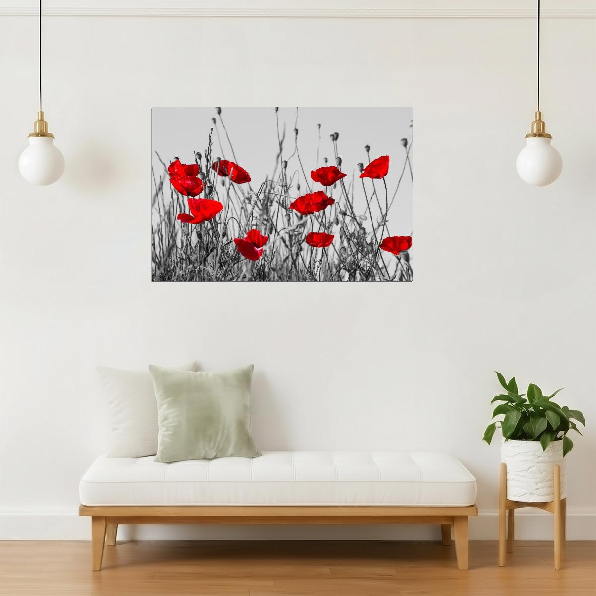 Red Poppies Meadow Poster | Black and White Photography | Floral Wall Art with Color Pop
