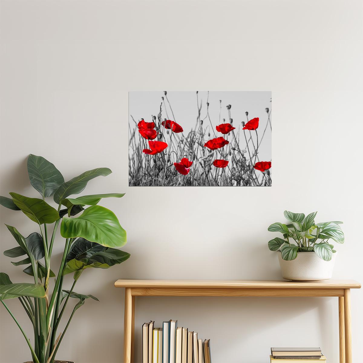 Red Poppies Meadow Poster | Black and White Photography | Floral Wall Art with Color Pop