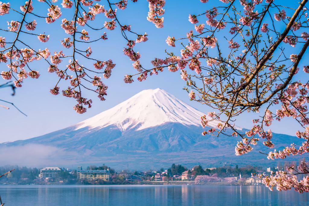 Mount Fuji and Cherry Blossoms | Japan Photography Print | Spring Landscape Poster - Photography Poster
