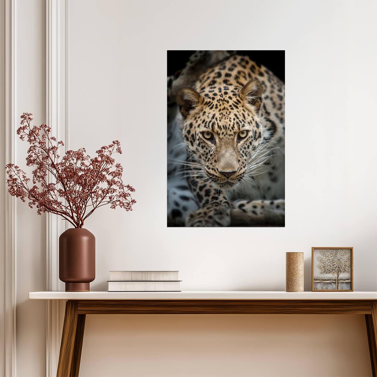 Close Up of an Angry Leopard | Wildlife Photography | Big Cat Portrait Poster - Photography Poster