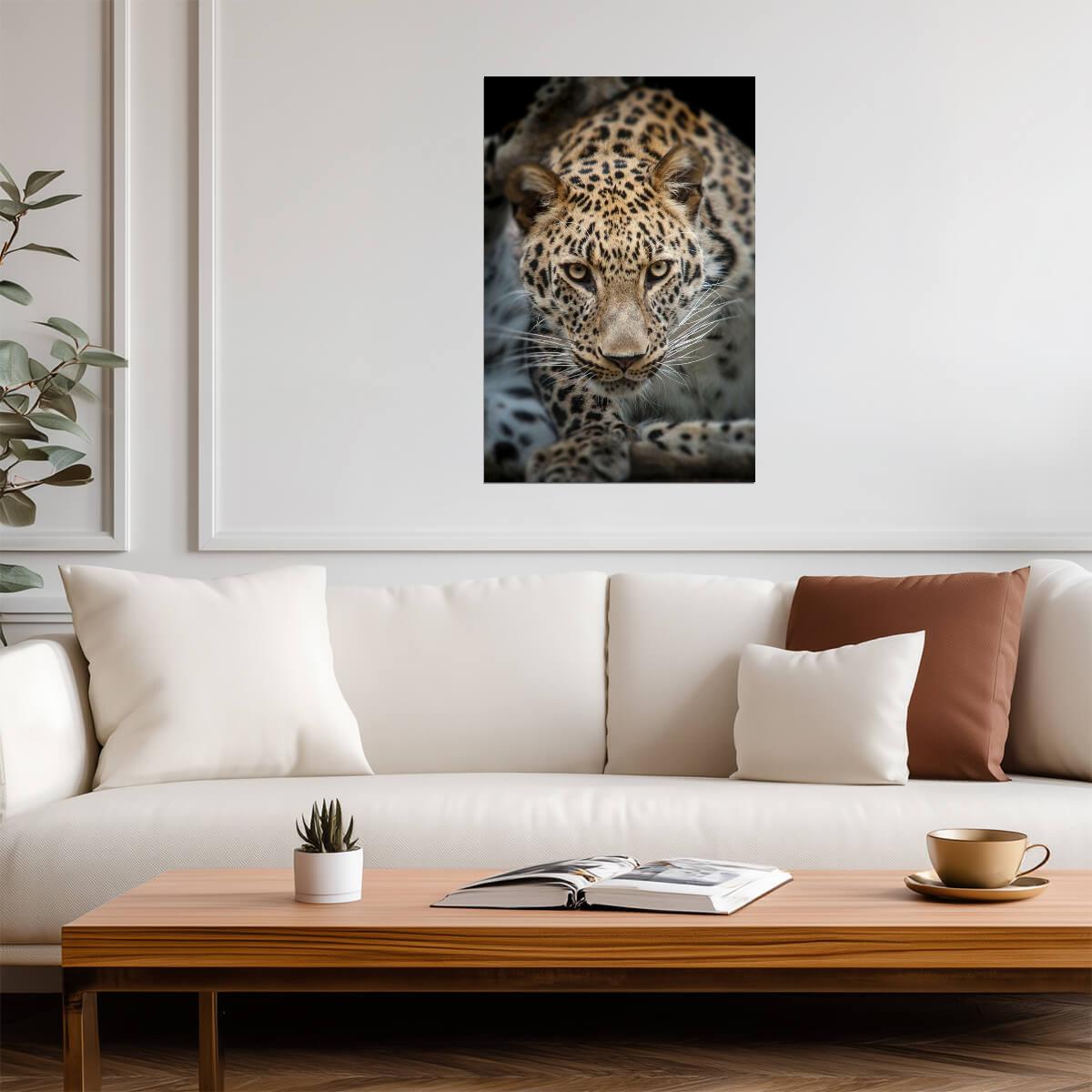 Close Up of an Angry Leopard | Wildlife Photography | Big Cat Portrait Poster - Photography Poster