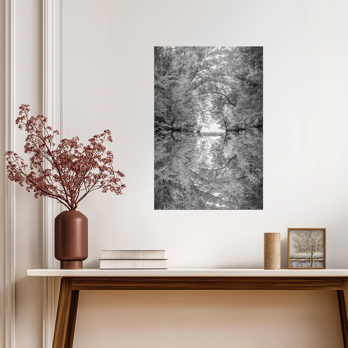 Reflection of Tree Branches in a River | Black and White Nature Photography | Abstract Poster - Photography Poster