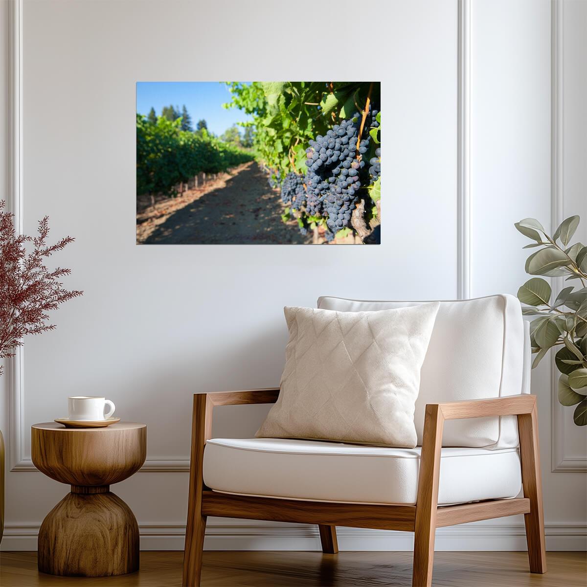 Grapes on the Vines at a Vineyard | Winery Photography Print | Kitchen & Wine Bar Poster - Photography Poster