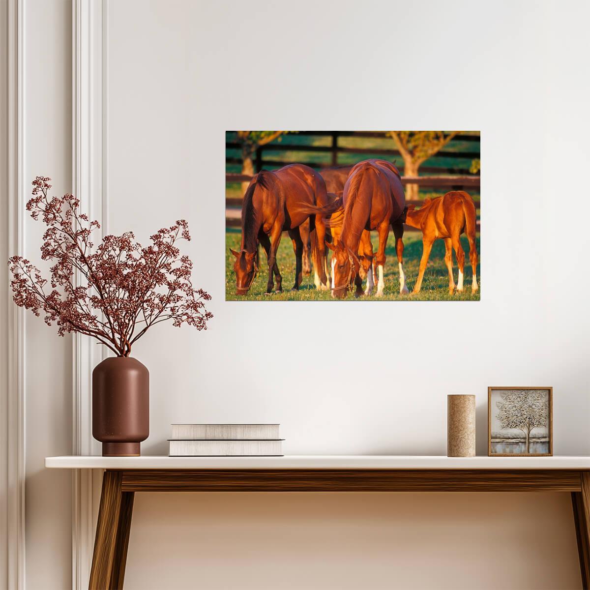 Thoroughbred Mares and Foals Grazing | Equestrian Photography | Horse Poster - Photography Poster