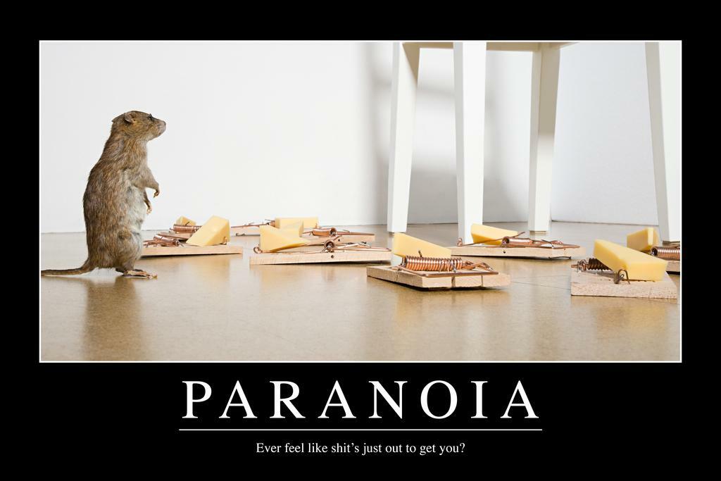 Paranoia | Funny Demotivational Poster