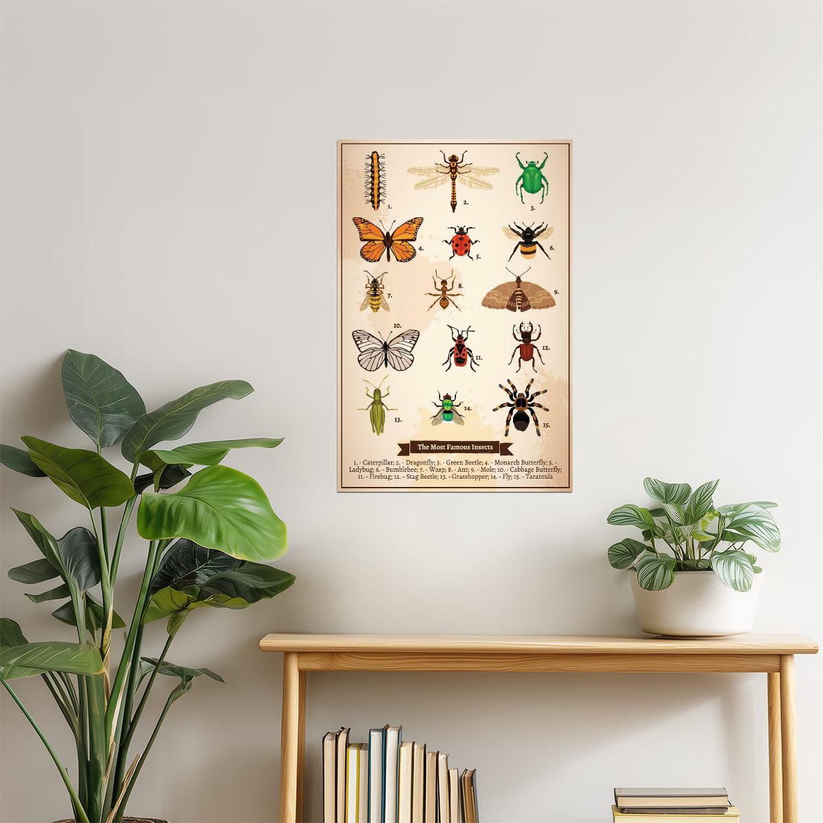 Famous Insects Chart Poster | Vintage Book Page Diagram | Scientific Illustration Art