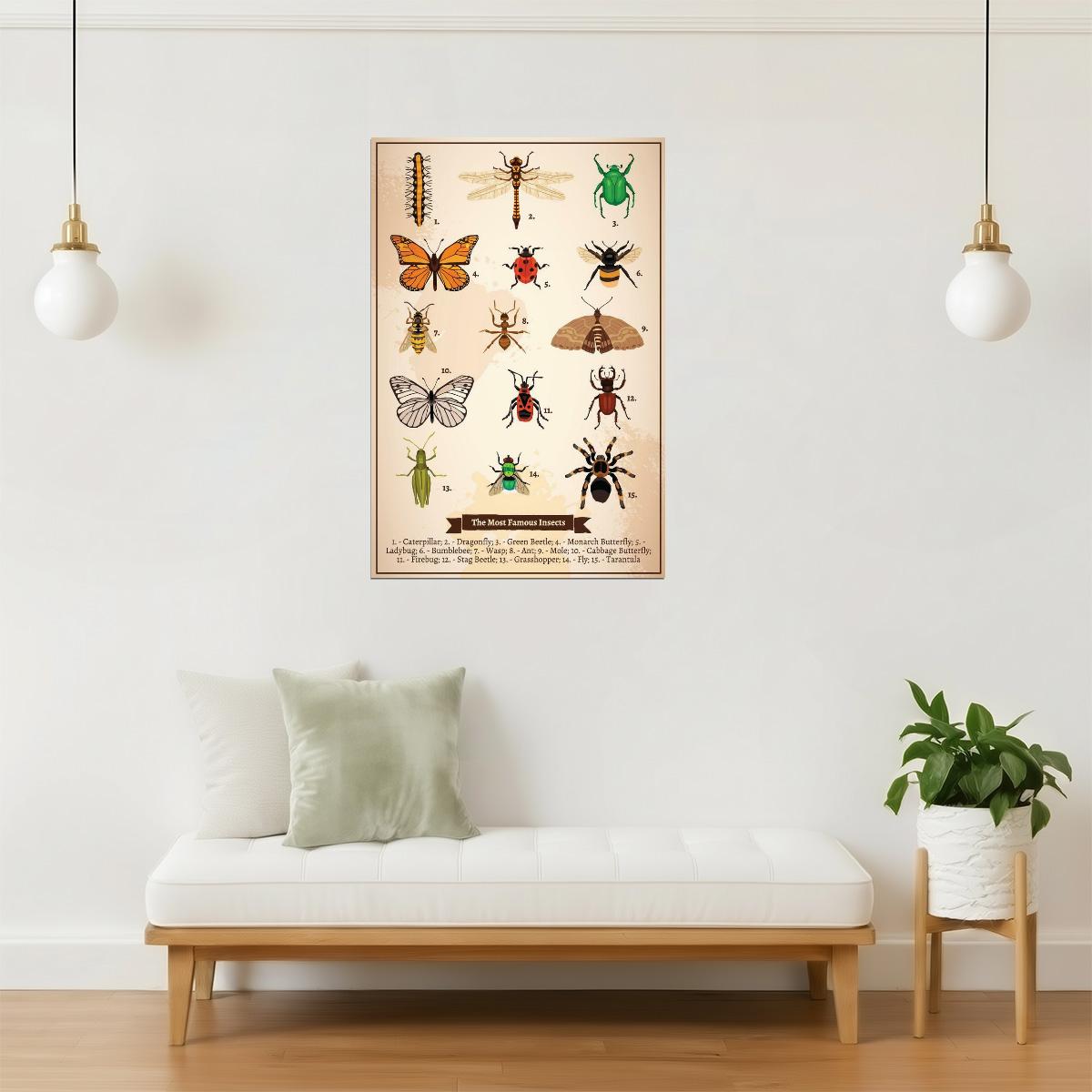 Famous Insects Chart Poster | Vintage Book Page Diagram | Scientific Illustration Art