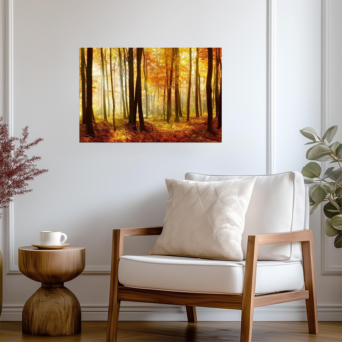Autumn Beech Tree Forest with Sunlight | Nature Photography | Landscape Poster - Photography Poster