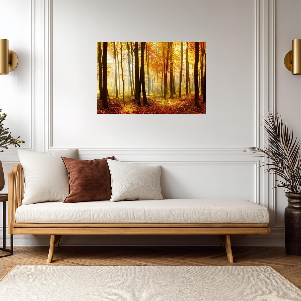 Autumn Beech Tree Forest with Sunlight | Nature Photography | Landscape Poster - Photography Poster