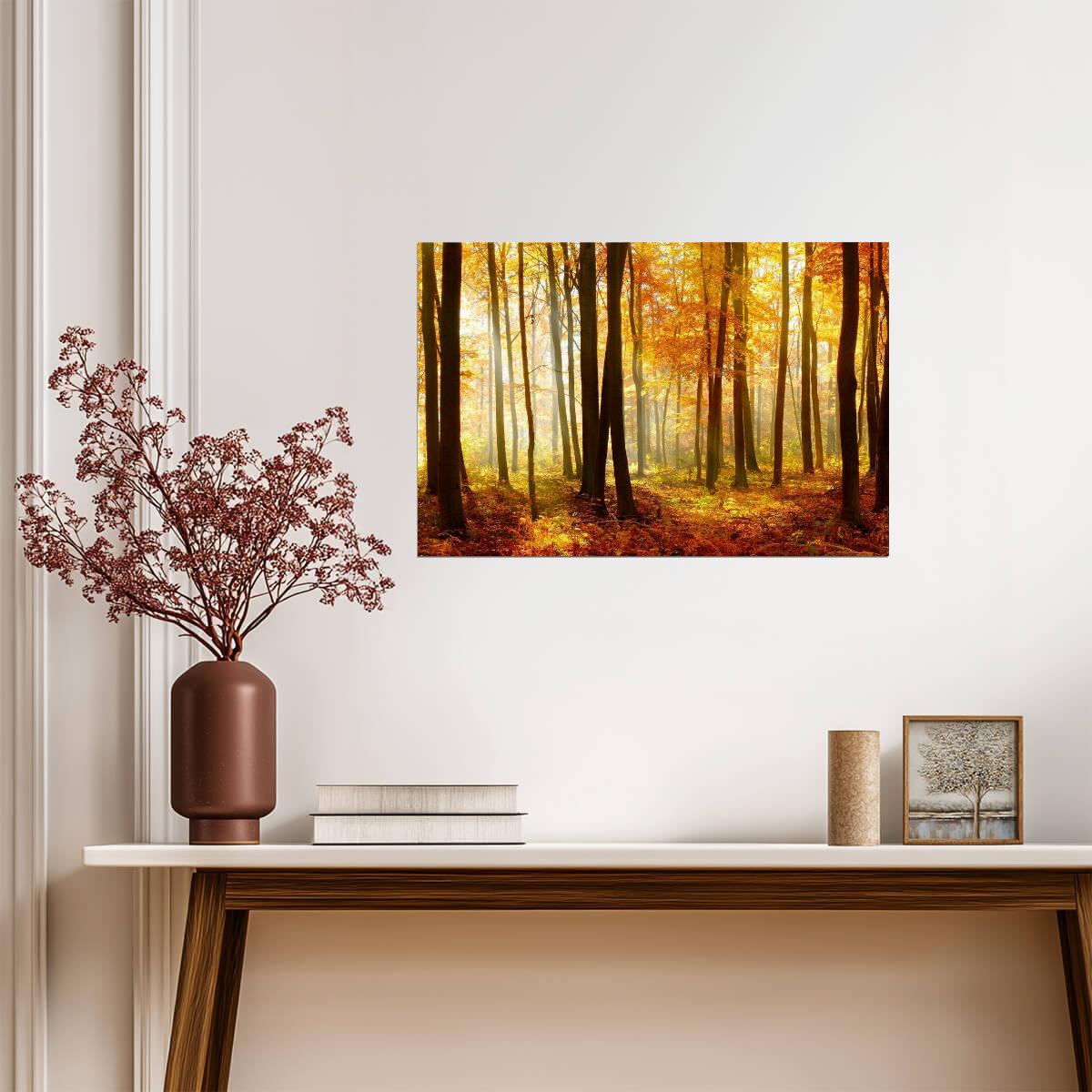 Autumn Beech Tree Forest with Sunlight | Nature Photography | Landscape Poster - Photography Poster