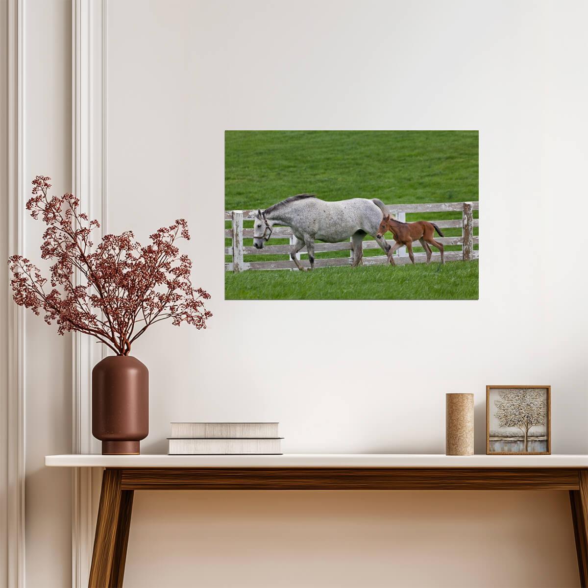 Female Thoroughbred and Young Foal | Equestrian Photography | Horse Poster - Photography Poster