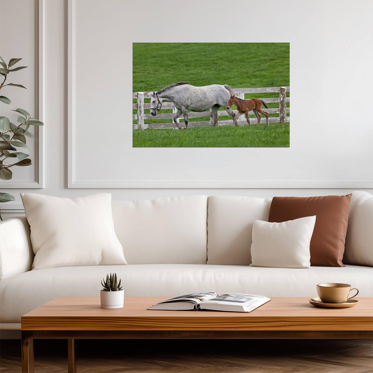Female Thoroughbred and Young Foal | Equestrian Photography | Horse Poster - Photography Poster