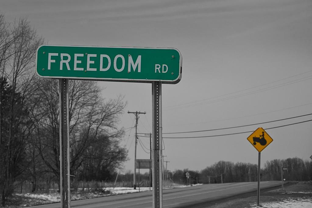 "Freedom Road" Sign Photo | Inspirational Landscape | Motivational Photography Poster - Type & Quotes Poster