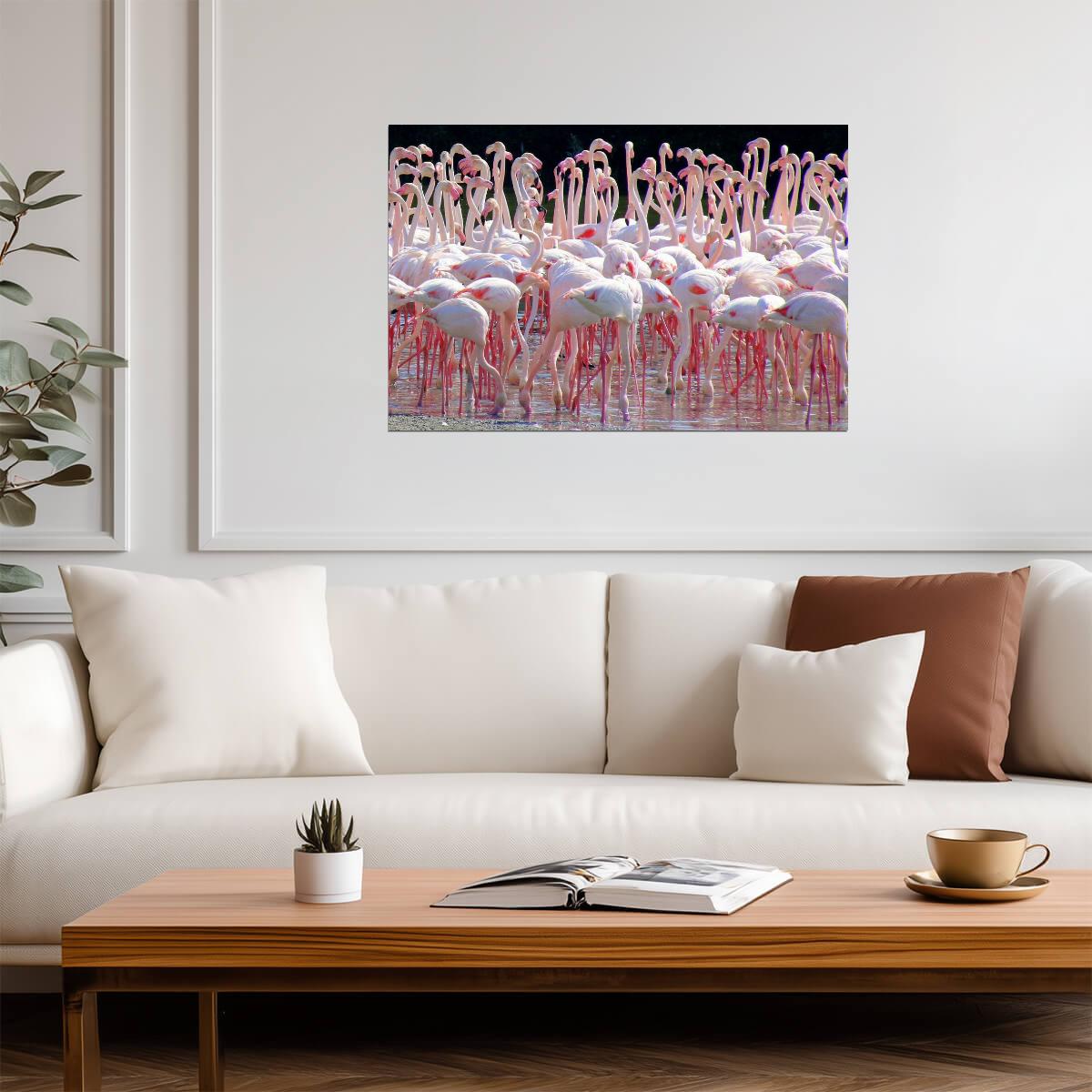 Flock of Flamingos at Ras Al Khor Sanctuary | Dubai Wildlife Photography | Bird Poster - Photography Poster