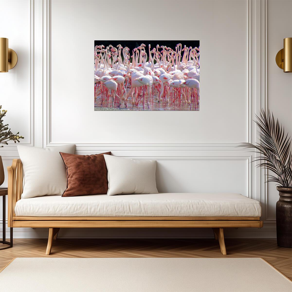 Flock of Flamingos at Ras Al Khor Sanctuary | Dubai Wildlife Photography | Bird Poster - Photography Poster