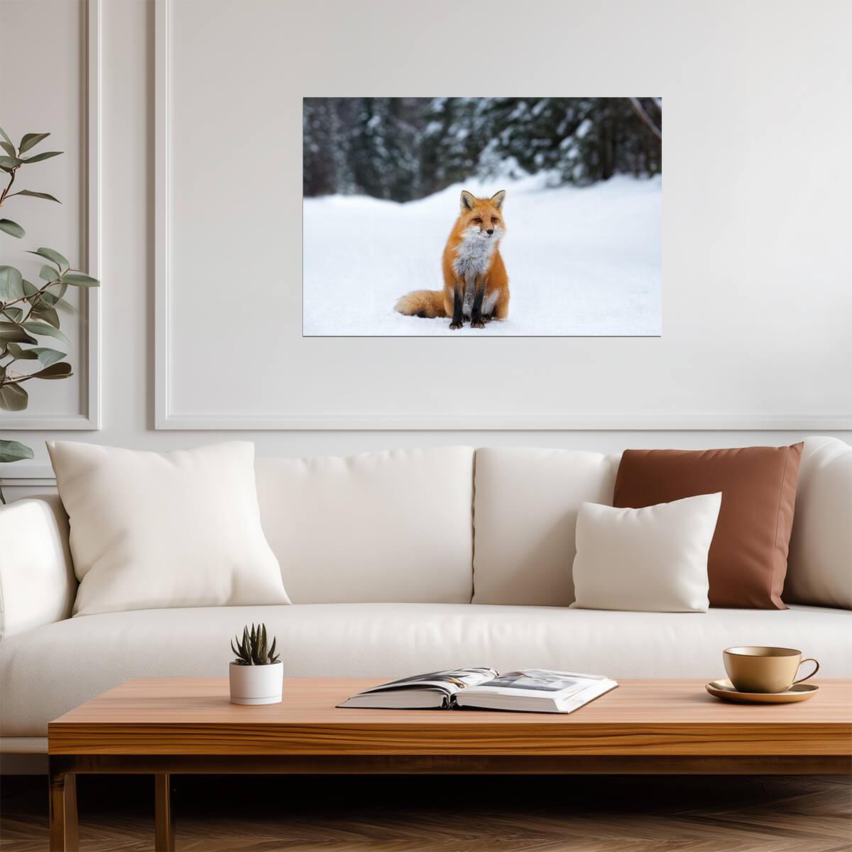 Red Fox in Snow Photo | Winter Wildlife Photography | Animal in Nature Poster - Photography Poster