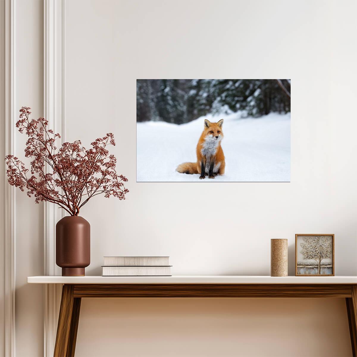 Red Fox in Snow Photo | Winter Wildlife Photography | Animal in Nature Poster - Photography Poster