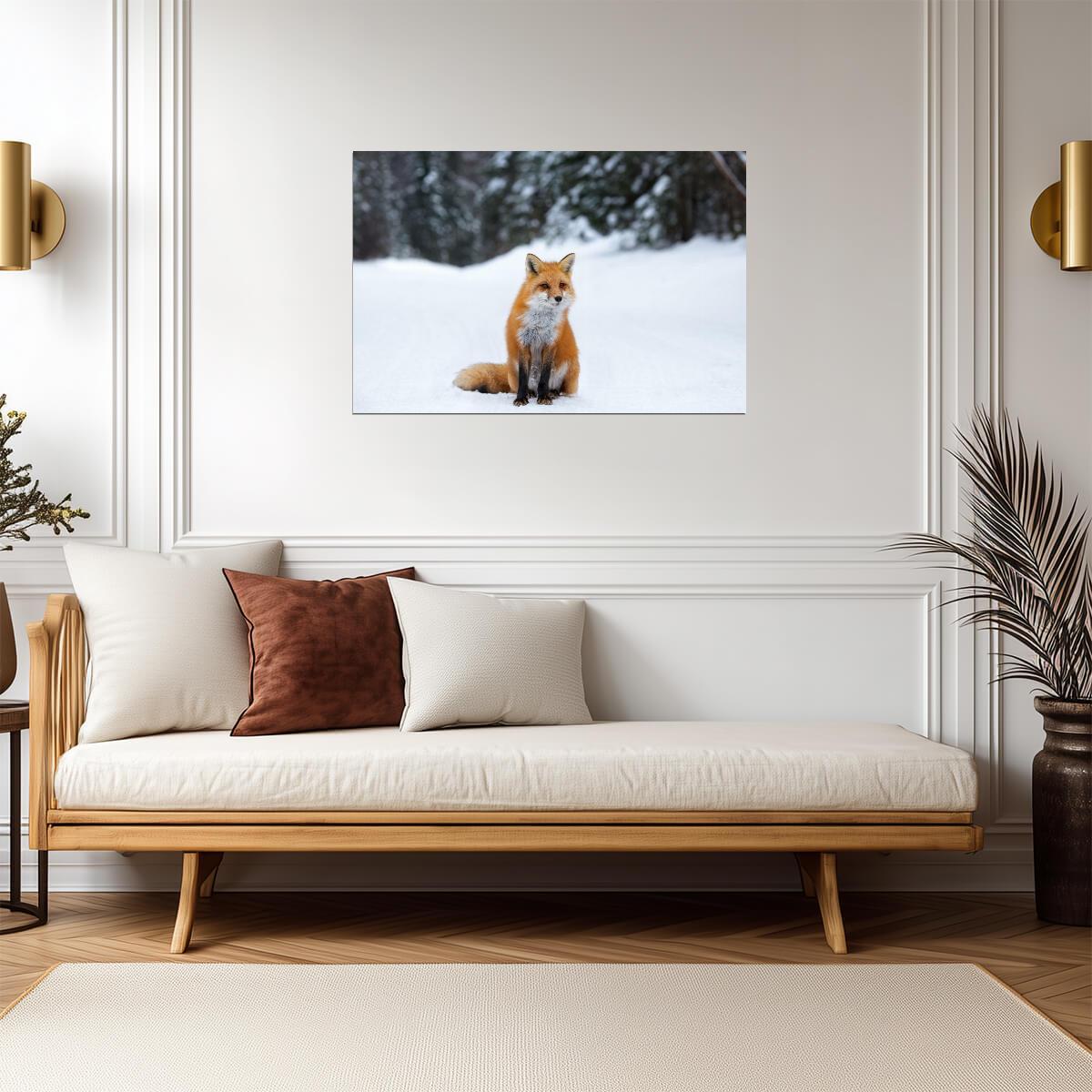 Red Fox in Snow Photo | Winter Wildlife Photography | Animal in Nature Poster - Photography Poster